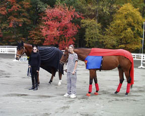 Herocostume3.jpg (27645 bytes)