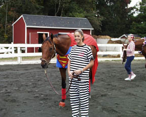 herocostume1.jpg (27629 bytes)