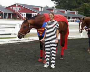 herocostume2.jpg (27887 bytes)