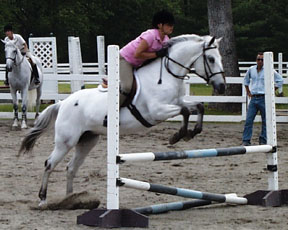 cece2.jpg (32989 bytes)